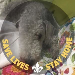 Meet your Posher, Suzanne